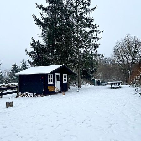 Wunderschoenes Chalet Mit Gaestehaus In Der Natur Mit Fass-Sauna Sangerhausen Bagian luar foto