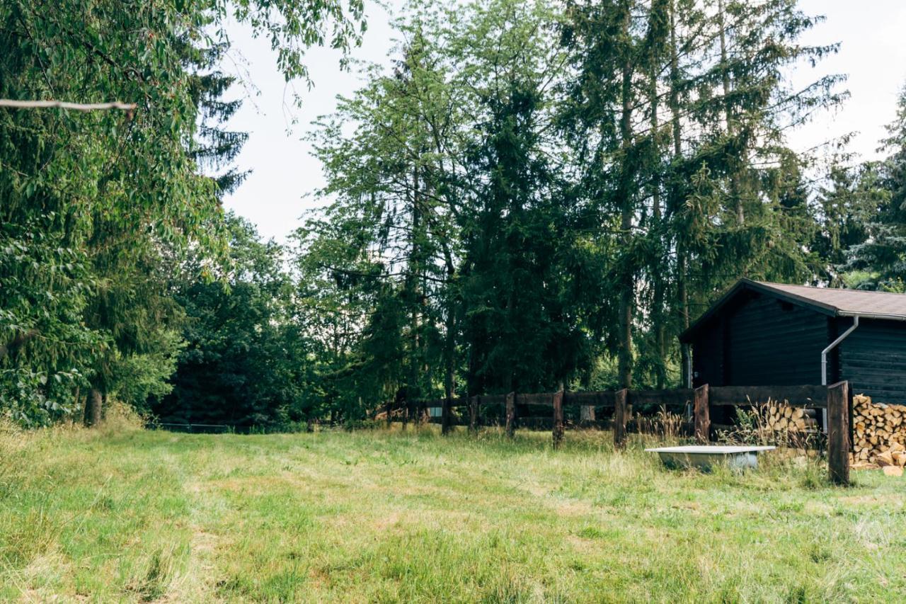 Wunderschoenes Chalet Mit Gaestehaus In Der Natur Mit Fass-Sauna Sangerhausen Bagian luar foto